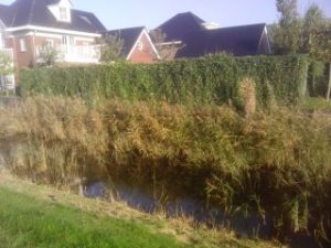 Herstel waterkant