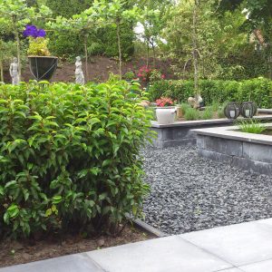 Achtertuin met tuinhuis